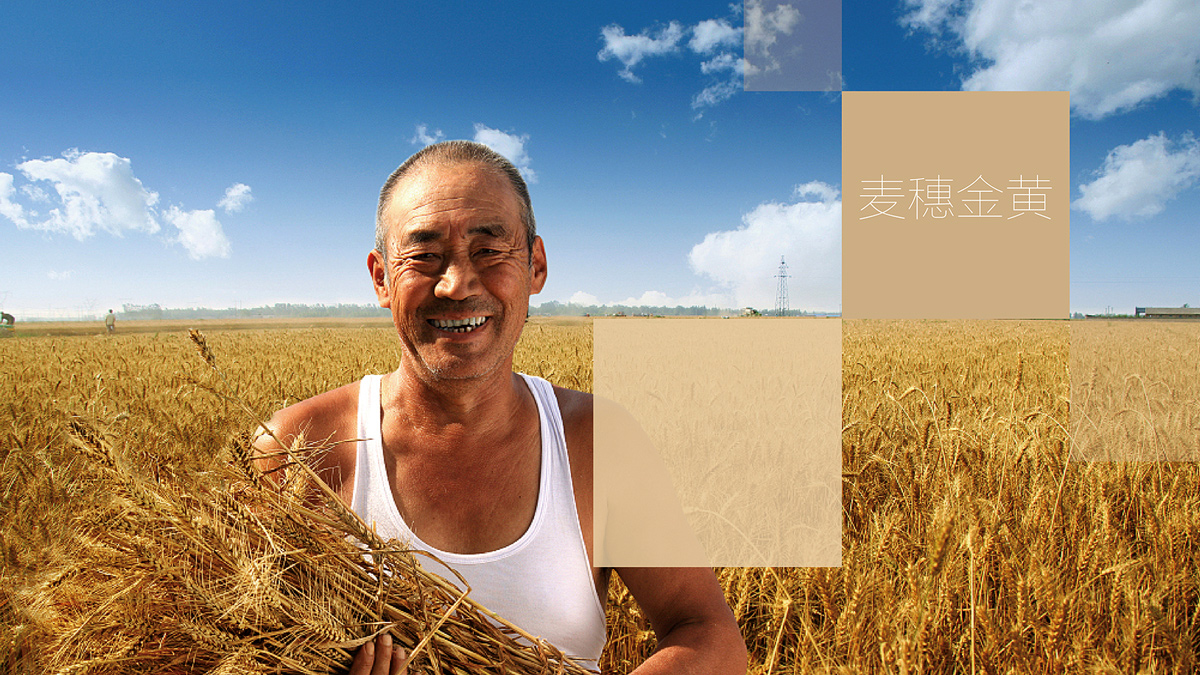 食品公司VI設(shè)計(jì)